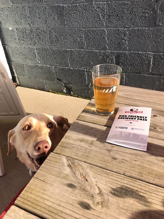 It’s not too late to pick up your Summer Dog-Friendly Brewery Pass from Sidewalk…