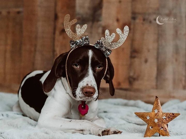 2 days ‘n counting until Santa Claus comes to town! We’re stoked to have…