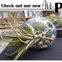 We are sho excited to have Succ It Up Buttercupin the house today. Now that’s a…