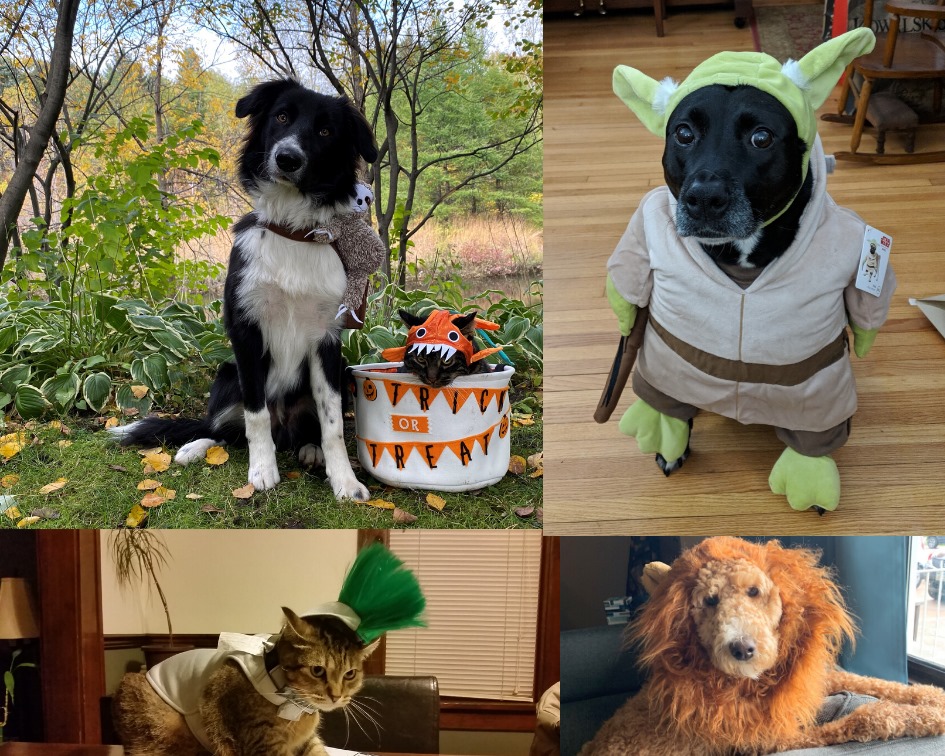 It’s going to be a Pawtacular weekend at the brewery. We’re teaming up with Ado…