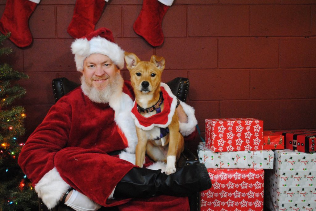 Thank you to everyone who attended our 2019 Dog Photos with Santa Paws! Photos …