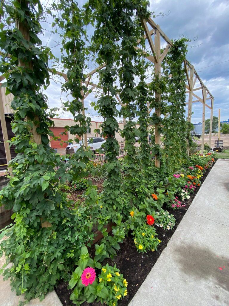 Our beer garden is flourishing! We have a lot of fun things going on this weekend, c…