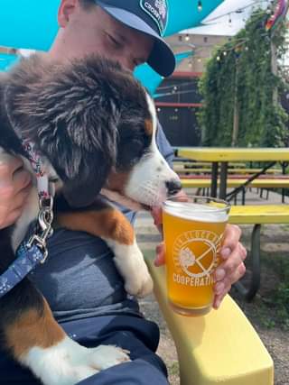 Are you ready for a beautiful Saturday!? Bailey is!